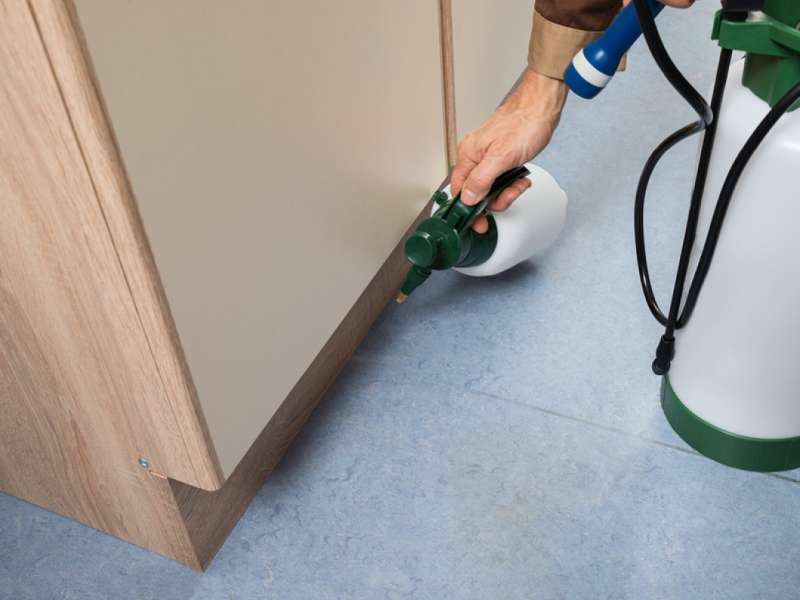 Lawn and Garden Pest Control